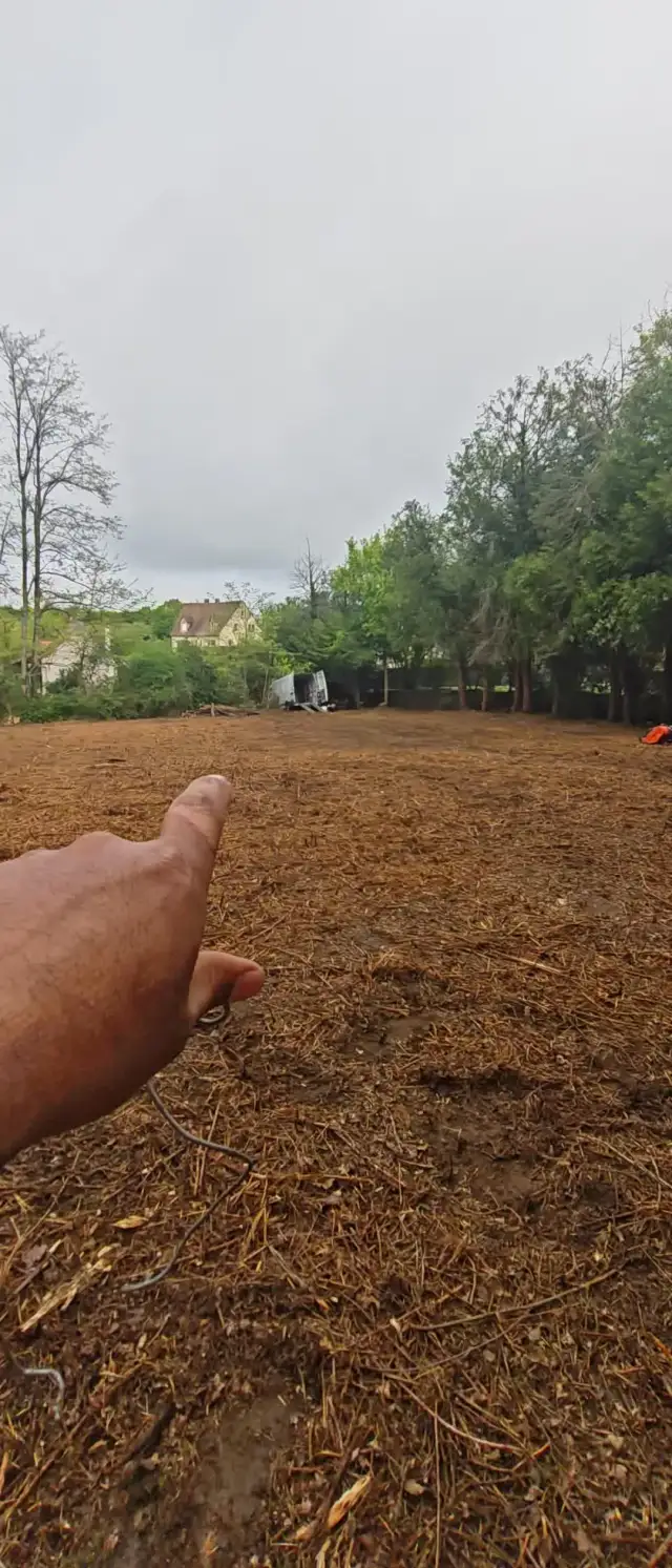 Parcelle de 3 000 m² perdue sous un roncier de 20 ans (2-2,50 m) : débroussaillage complet, 6-7 arbres penchés côté voisin abattus, relevage des houppiers bas — chantier-repère de la page Tarifs (2 939 €, ~1 €/m²)