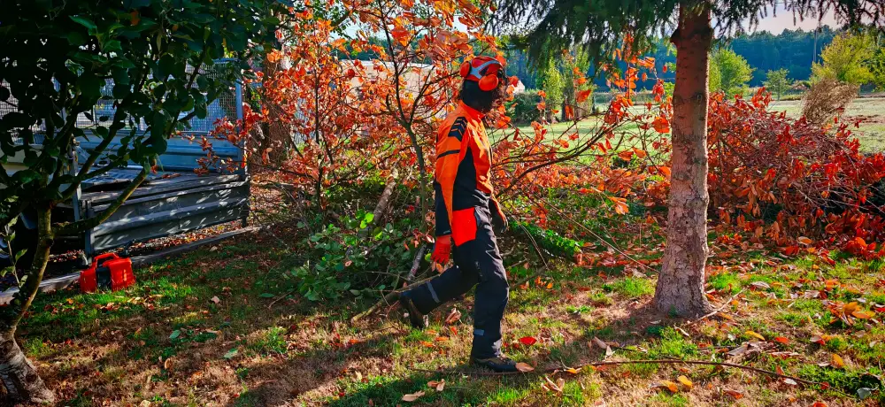 Le démontage côté prairie, la tronçonneuse dans les branches