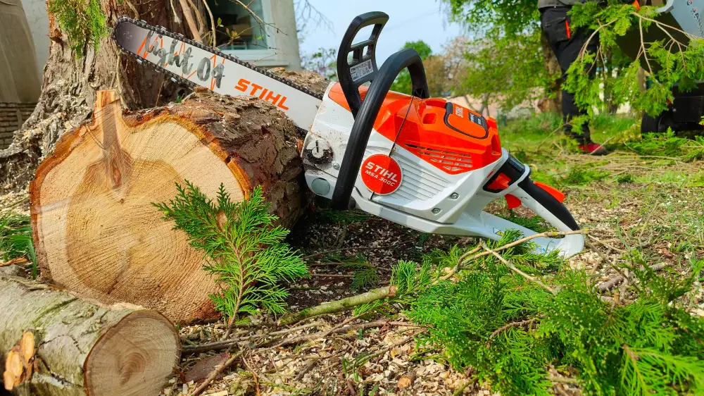 La Stihl MSA 300 C sur batterie, posée contre une grume fraîchement coupée : ni réservoir d'essence, ni échappement, et aucun bruit entre deux coupes