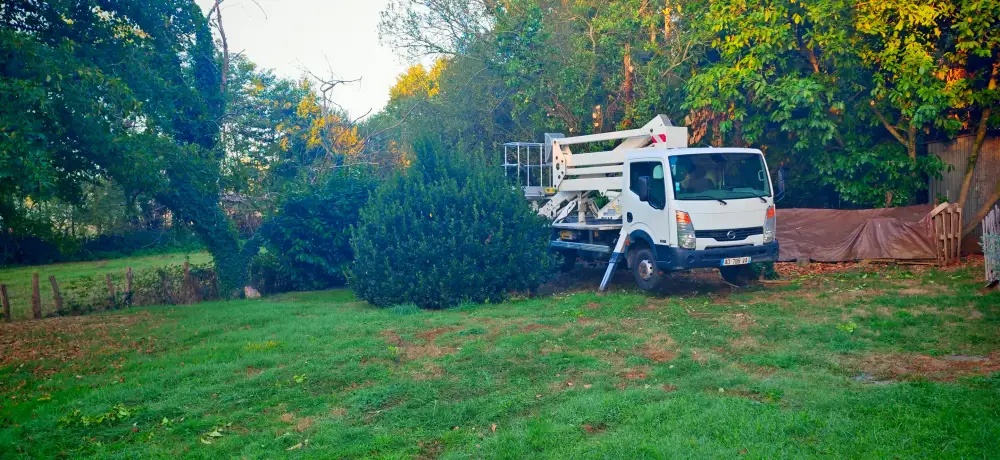 Le jardin au matin du deuxième jour, la nacelle en place près des arbres à démonter