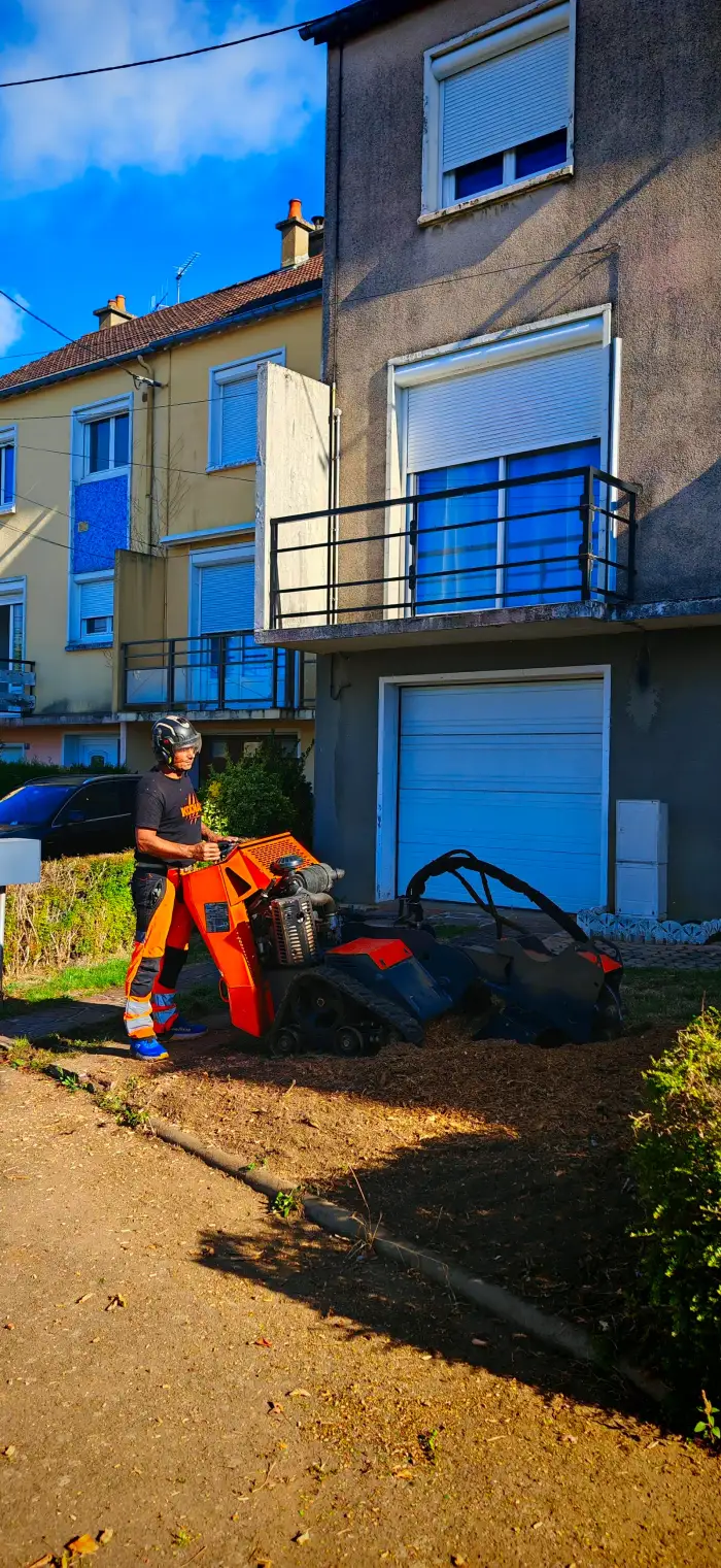 La rogneuse sur la souche, au pied de la façade
