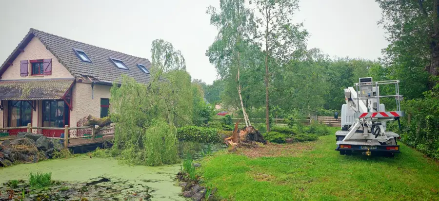 Un saule effondré sur une maison à Ruaudin : le besoin qu'on aurait aimé voir venir