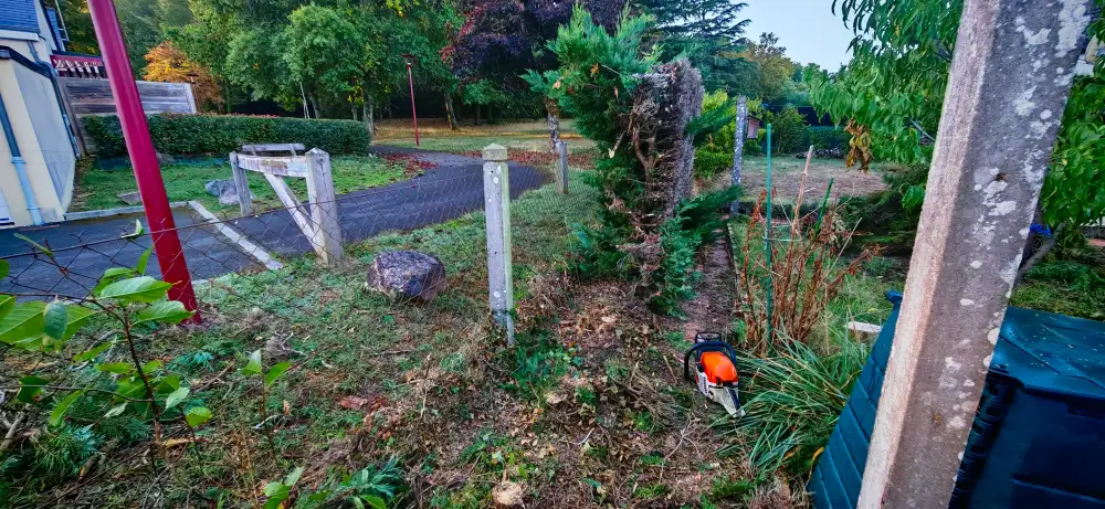 La haie en cours d'abattage, la tronçonneuse posée au pied du grillage