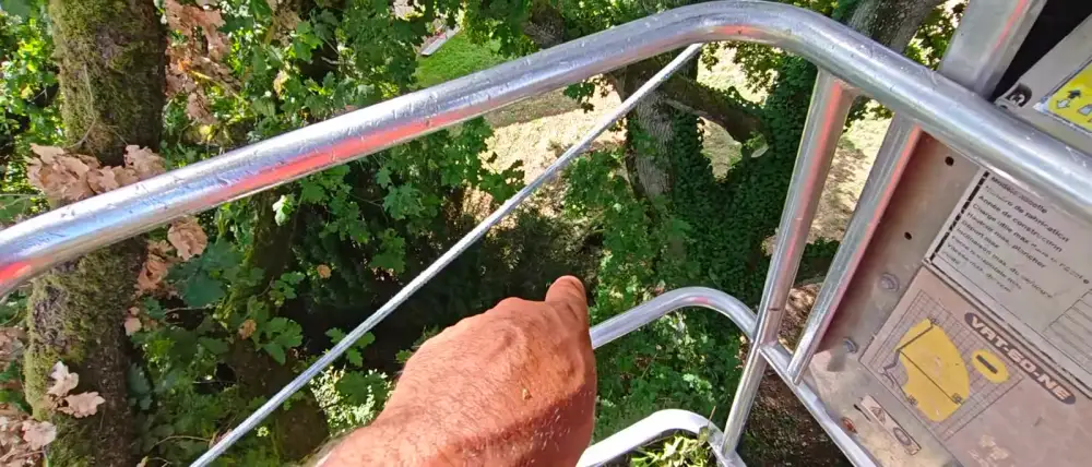 La branche nouée depuis la nacelle, puis le chêne et les tilleuls une fois le travail fini
