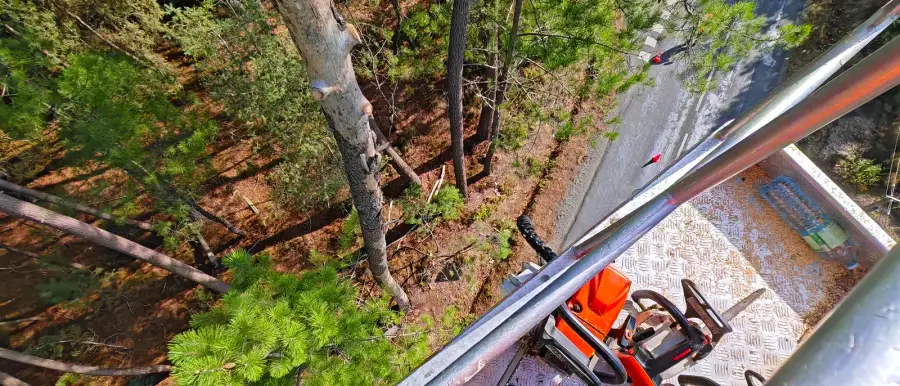 Grisard (gros pin mort sur pied, 25 à 27 m) et pins chargés de bois mort au-dessus d'une départementale, propriétaire à distance : état des lieux filmé le jour de l'appel, nacelle, voie neutralisée en circulation alternée, bois mort de plus de 30 kg descendu, une dizaine d'abattages le long de la route