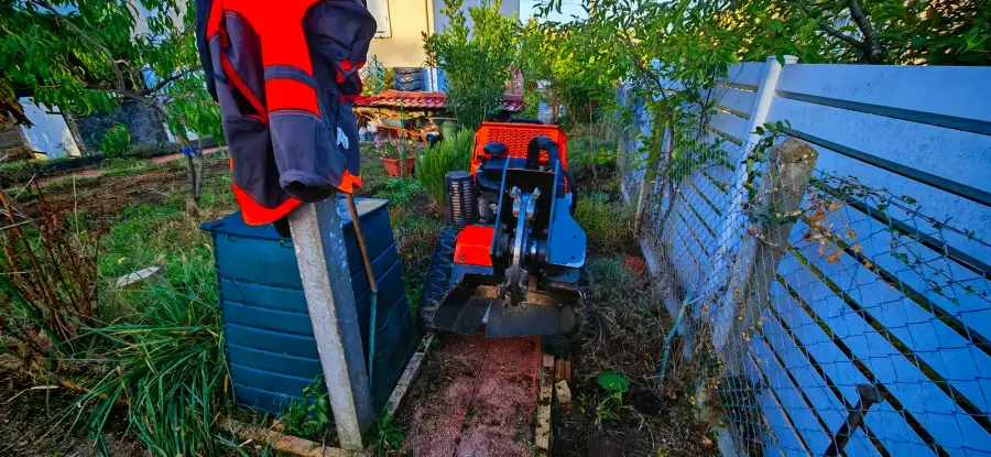 Haie de thuyas desséchée au fond d'un jardin clos : abattue, broyée côté rue, souches rognées en profondeur sans pelle ni grillage touché, terrain rendu au potager