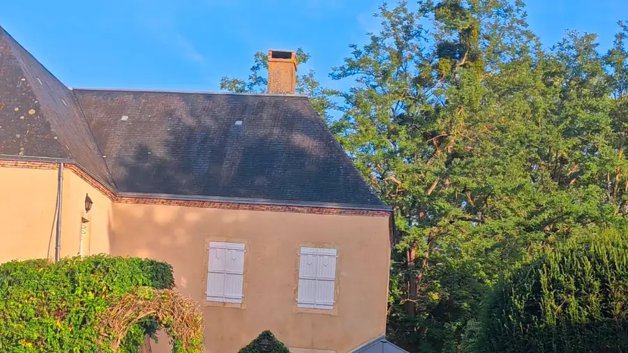 Passage d'entretien sous contrat : tilleuls relevés, ifs repris, glycine décrochée de la gouttière, filmé pour un client absent