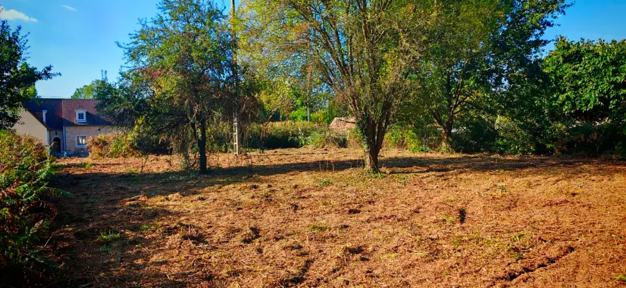 Roncier épais mêlé de fougères et de pionniers, sangliers, risque feu, tracteur enlisé la fois précédente : environ 3 500 m² repris sur chenilles au gyrobroyeur à lames en une grosse journée, bois en vrac rangé en tas